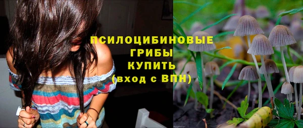 прущие грибы Осинники