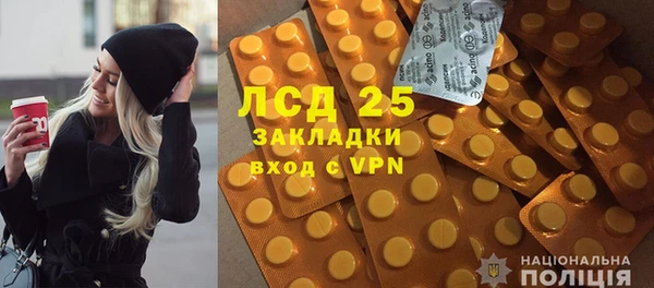 ПСИЛОЦИБИНОВЫЕ ГРИБЫ Алзамай